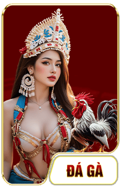 icon đá gà