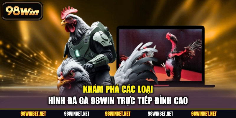 Khám phá các loại hình đá gà 98WIN trực tiếp đỉnh cao