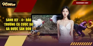 Sảnh ICF - 4+ Đấu Trường Cá Cược Đá Gà Được Săn Đón
